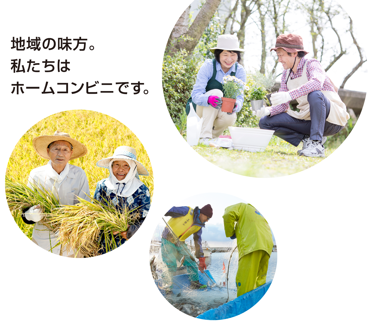 DCMニコット